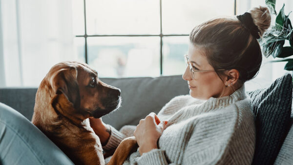 Woman and her dog sitting on a couch looking at each other